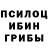 Галлюциногенные грибы Cubensis melih caglayan