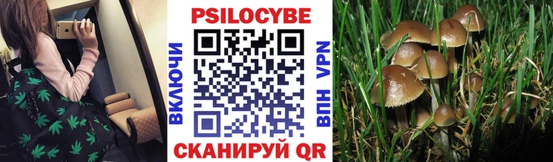 Псилоцибиновые грибы GOLDEN TEACHER  мориарти Telegram  Динская  ссылка на мегу маркетплейс 